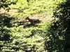 IMG-20220531-WA0008