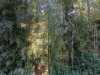 IMG-20220531-WA0009